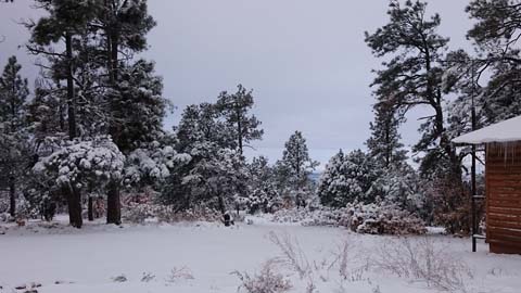 Cabin in winter